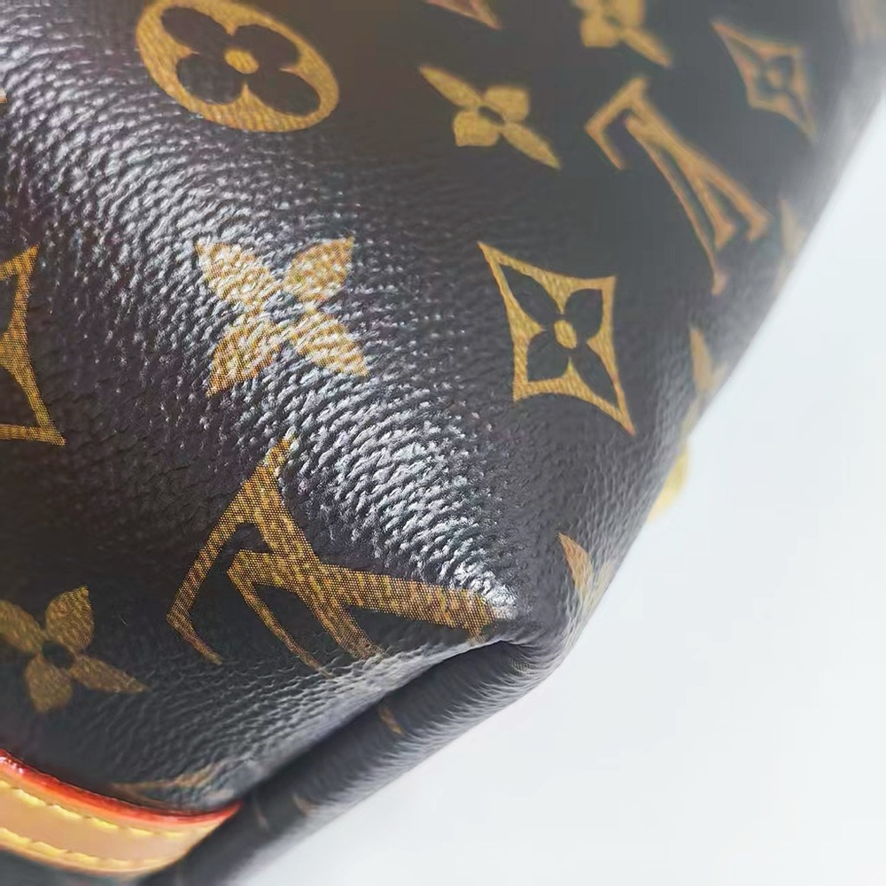 Louis Vuitton Monogram Canvas Carryall PM Bag - Picture 7 of 12